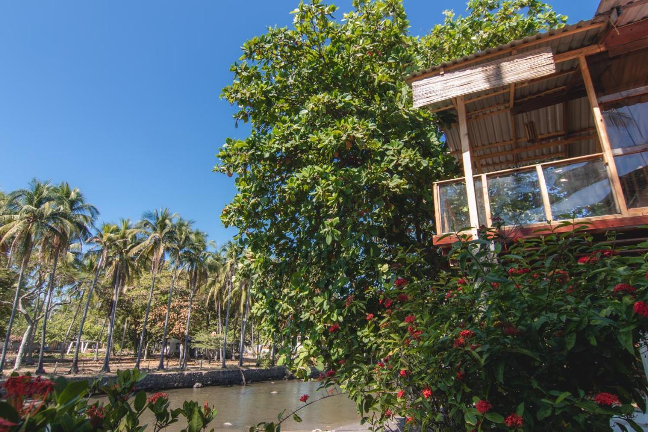 Esencia Nativa Hotel El Zonte Ngoại thất bức ảnh